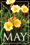 May
